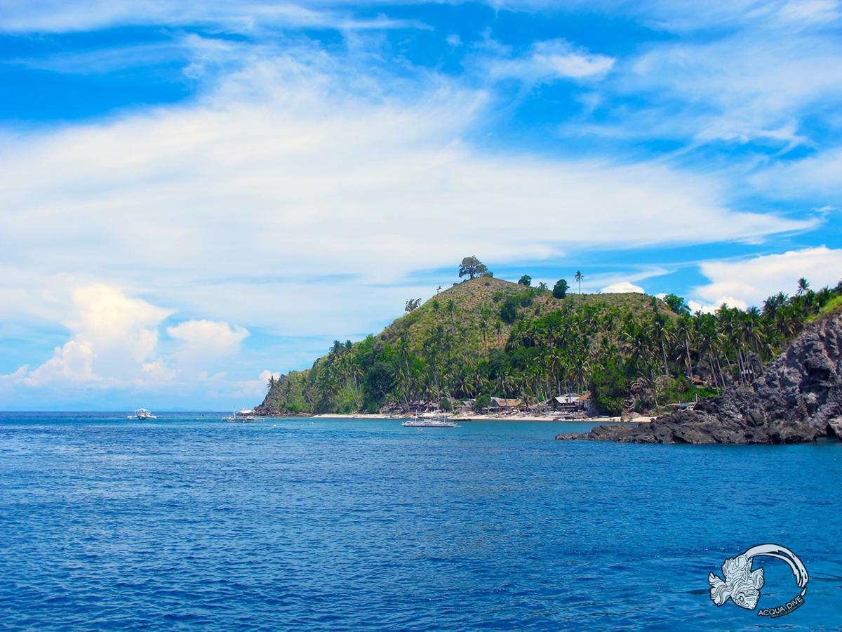 Acqua Dive Bed and Breakfast Zamboanguita  Exteriör bild