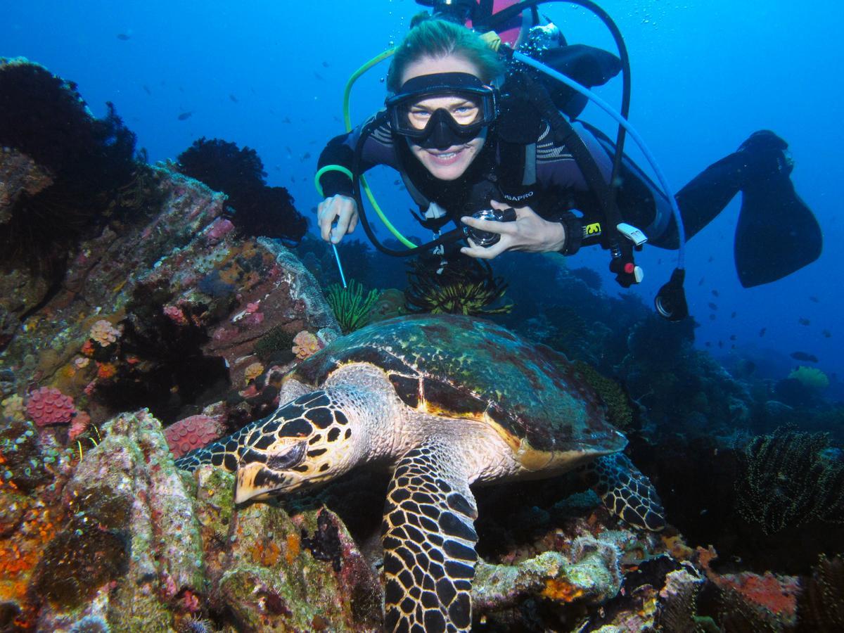 Acqua Dive Bed and Breakfast Zamboanguita  Exteriör bild