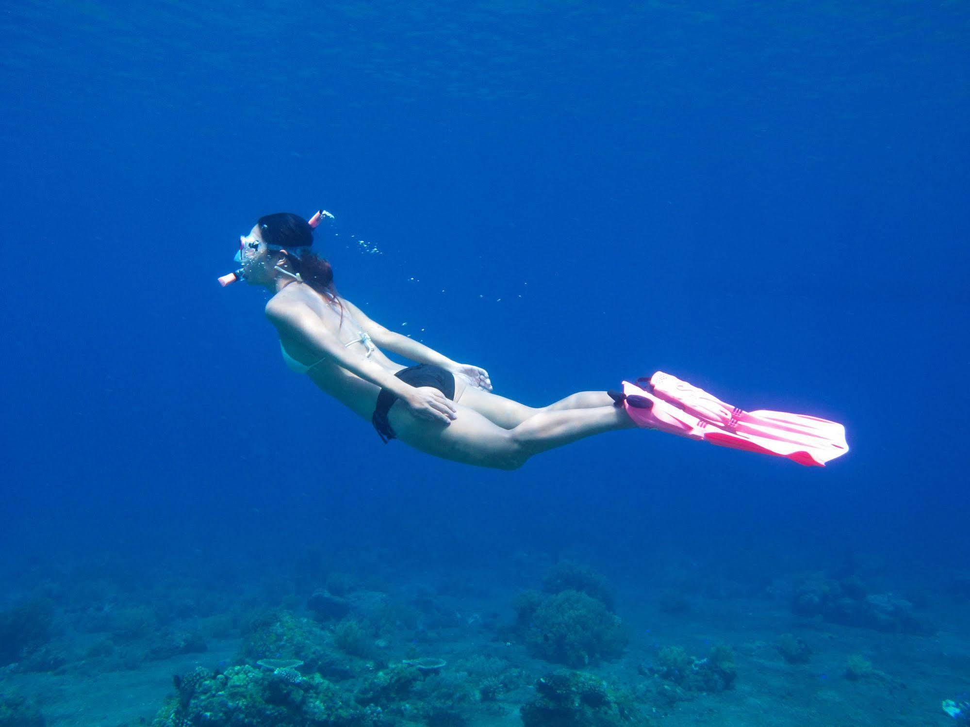 Acqua Dive Bed and Breakfast Zamboanguita  Exteriör bild